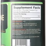 ON GLUTAMINE POWDER 1000 GR