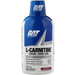 GA L-CARNITINE 3000MG 16OZ MIXED BERRY